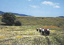 Hungary-Hungary-Somogy Naturepark Ride